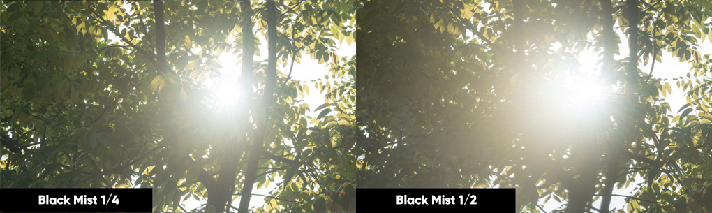 Black Mist 1_4 + Black Mist 1_2.jpg