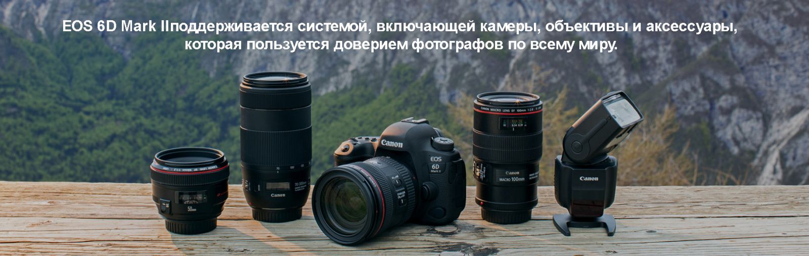 Canon EOS 6D Mark 2 пример фото 2
