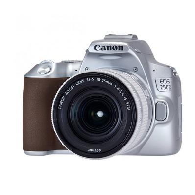 Фотоаппарат зеркальный Canon EOS 250D Kit EF-S 18-55mm f/4-5.6 IS STM Silver