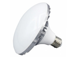 Лампа светодиодная FST L-E27-LED30