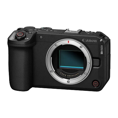 Фотоаппарат беззеркальный Canon EOS R6 V Body