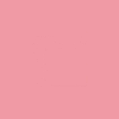 Фон пластиковый FST 0.6х1.3м матовый Розовый