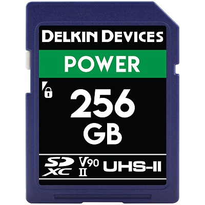Карта памяти Delkin Devices Power SDXC 256GB UHS-II U3 V90 R300/W250MB/s (DDSDG2000256)
