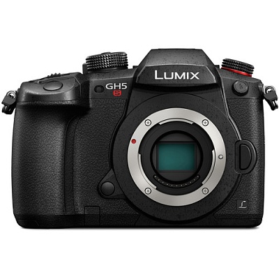 Фотоаппарат беззеркальный Panasonic Lumix DC-GH5S Body