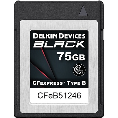 Карта памяти Delkin Black CFexpress Type B 75GB R1725/W1240MB/s (DCFXBBLK75)