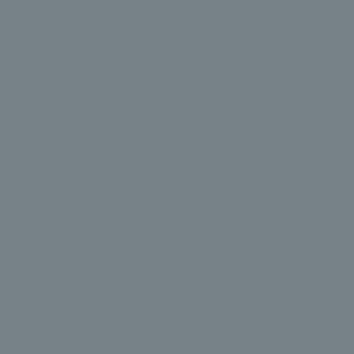 Фон пластиковый Colorama CO9270 1x1.3м матовый Серый