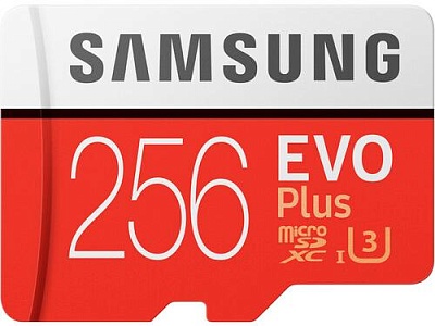 Аренда карты памяти Samsung EVO Plus microSDXC 256Gb UHS-I U3 R100/W90Mb/s (MB-MC256HA/RU)