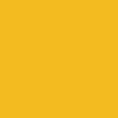 Фон бумажный Falcon Eyes BackDrop PRO 35 2.72x11м Yellow-Orange