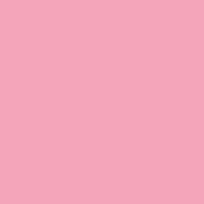 Фон бумажный E-IMAGE Background paper 17 2.72х10м Carnation pink