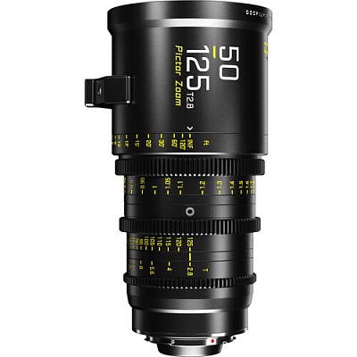 Аренда объектива DZOFilm Pictor Zoom 50-125mm T2.8 Super35